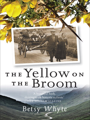 cover image of The Yellow on the Broom